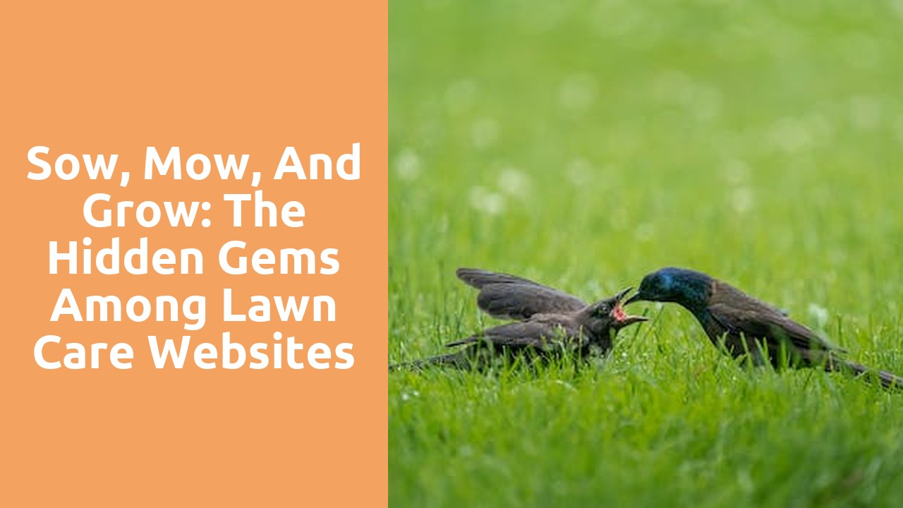 Sow, Mow, and Grow: The Hidden Gems Among Lawn Care Websites