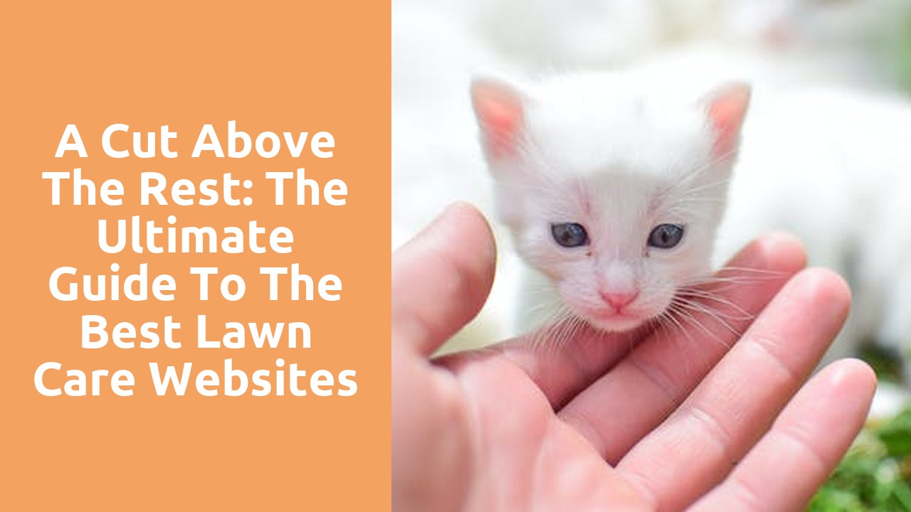 A Cut Above the Rest: The Ultimate Guide to the Best Lawn Care Websites